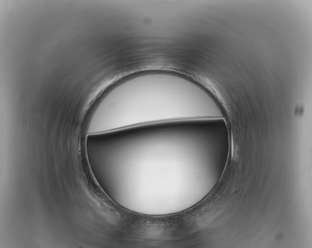 X0000092230531200709140943
