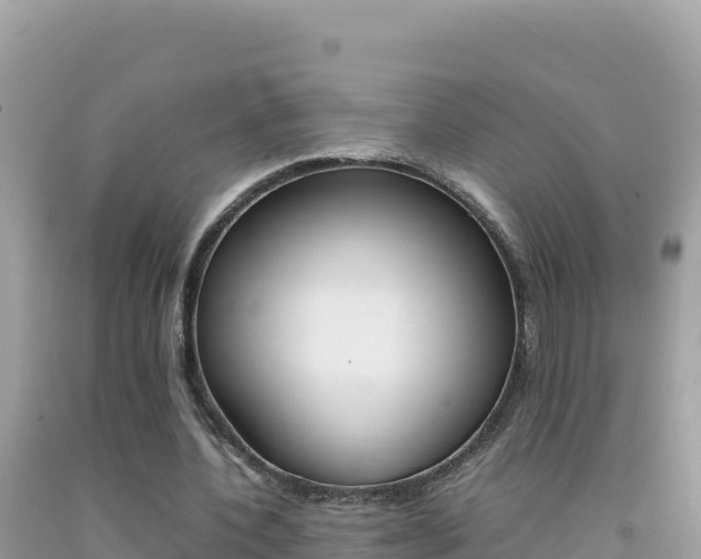 X0000092230532200709140943