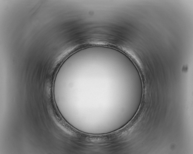 X0000092230533200709140943