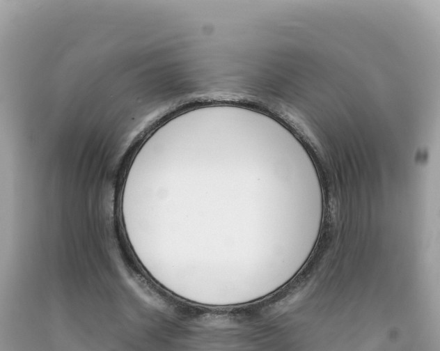 X0000092230534200709140943