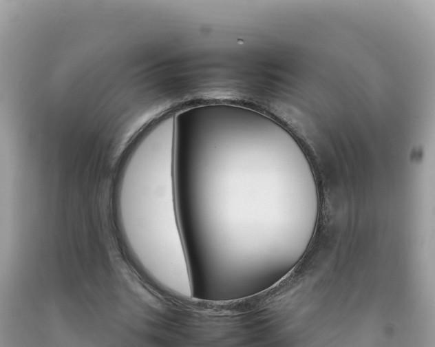 X0000092230535200709140943