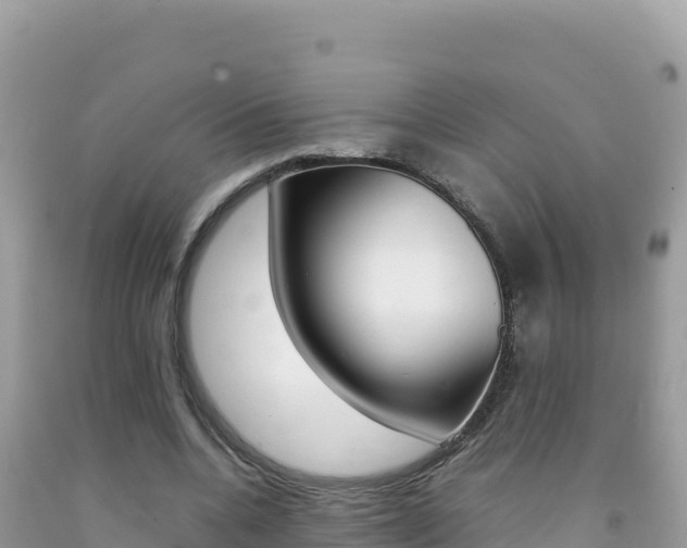 X0000092230536200709140943