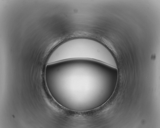X0000092230538200709140943
