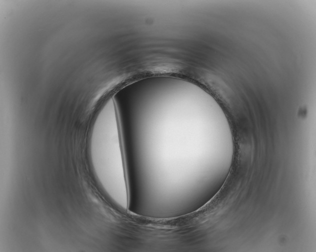 X0000092230539200709140943