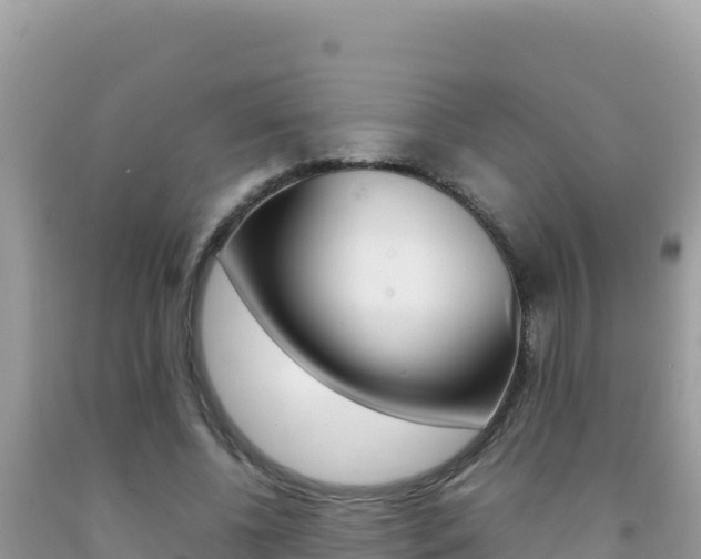 X0000092230540200709140943