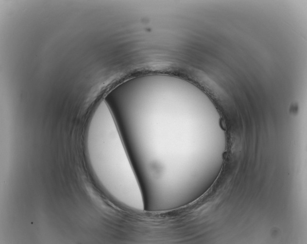 X0000092230542200709140943
