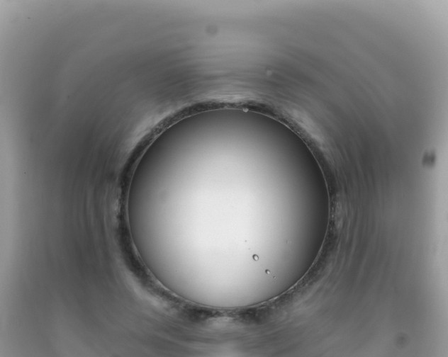 X0000092230544200709140944