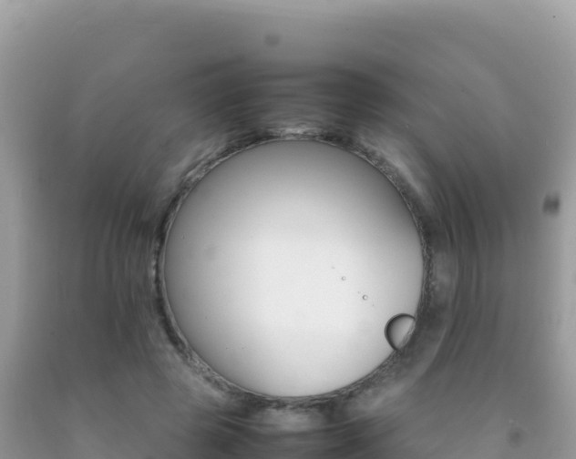 X0000092230545200709140944