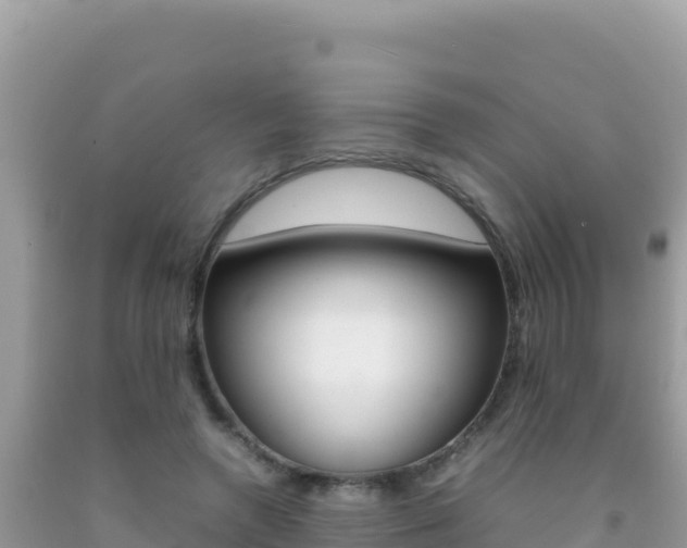 X0000092230546200709140944