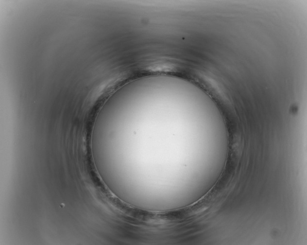 X0000092230547200709140944