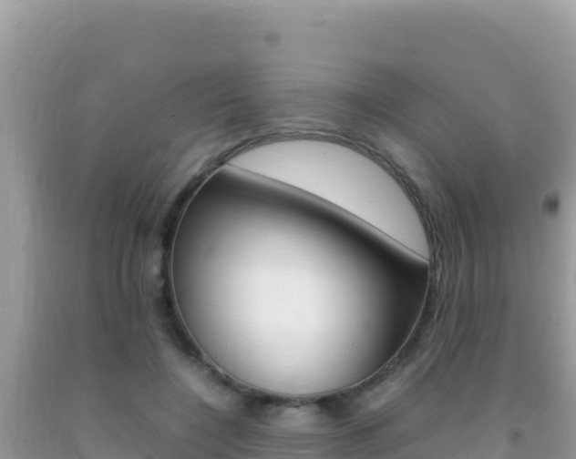 X0000092230548200709140944