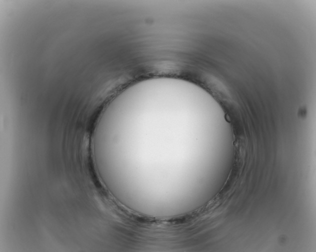 X0000092230550200709140944