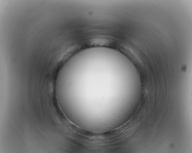 X0000092230551200709140944