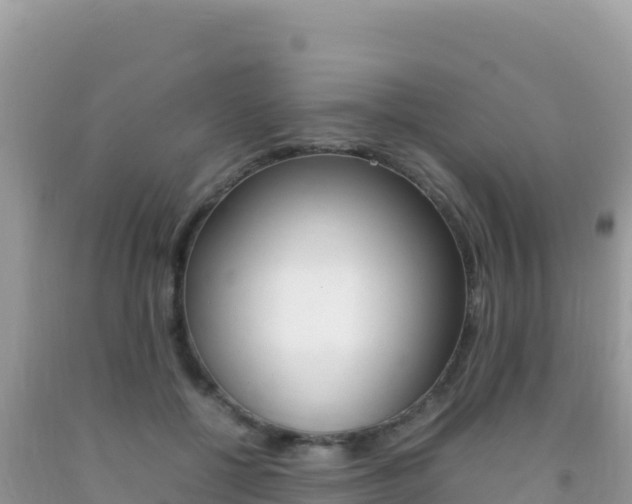 X0000092230552200709140944
