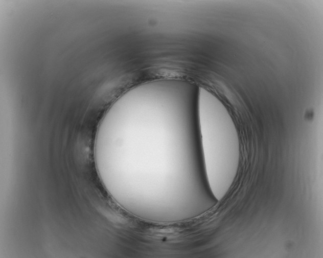 X0000092230553200709140944