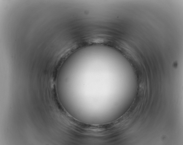 X0000092230555200709140944