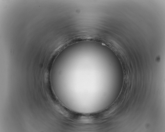X0000092230556200709140944