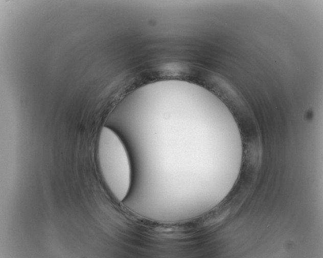 X0000092230557200709140944