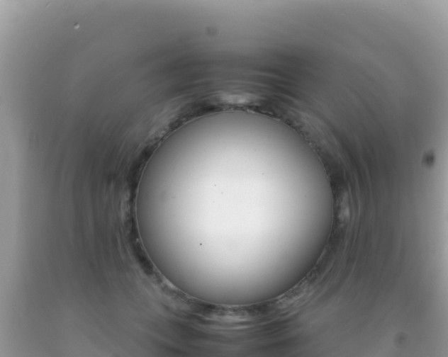 X0000092230559200709140944