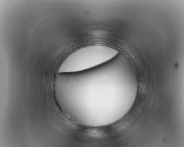 X0000092230561200709140944