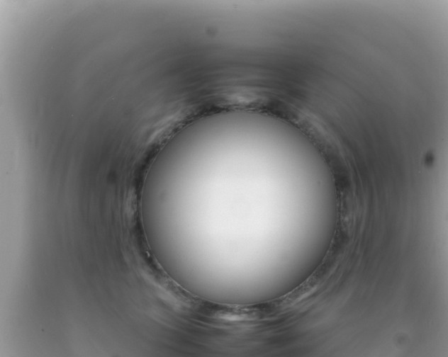 X0000092230563200709140944