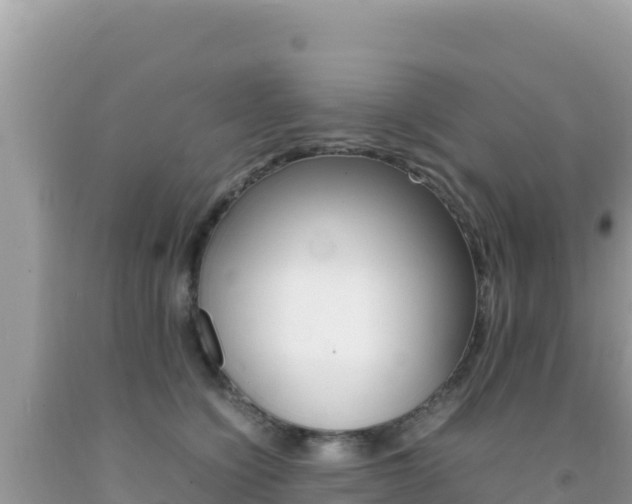 X0000092230564200709140944