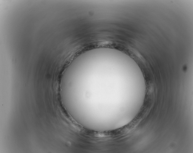 X0000092230565200709140944