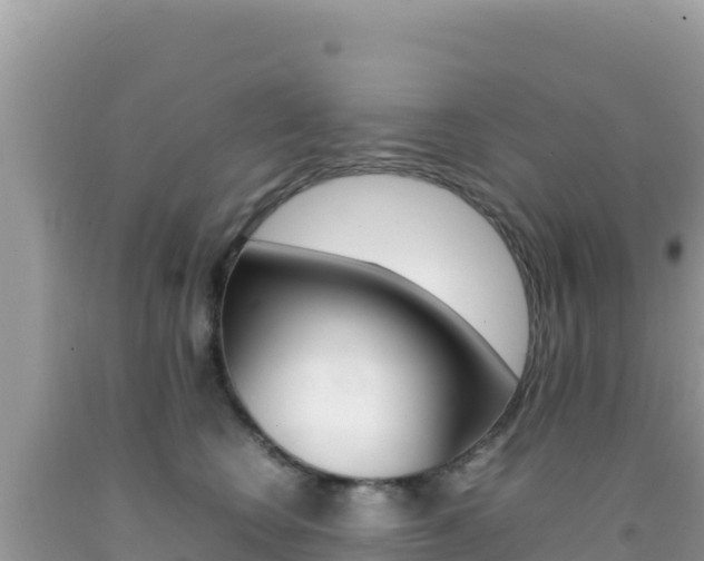 X0000092230566200709140944