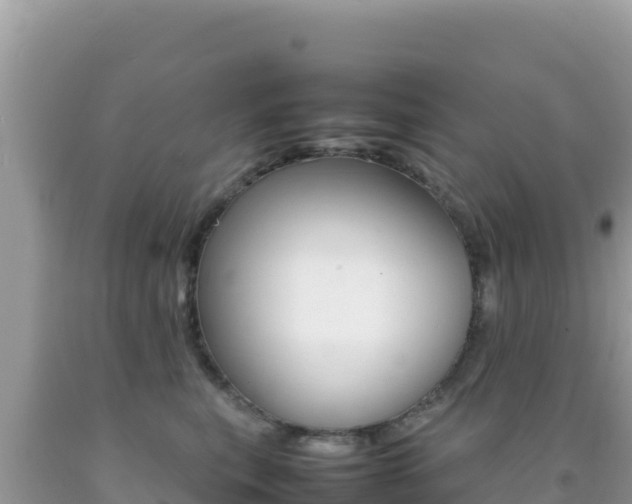 X0000092230567200709140944
