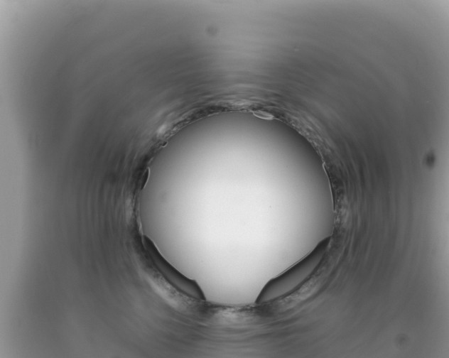 X0000092230568200709140944