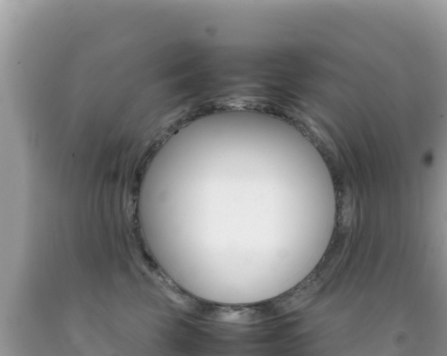 X0000092230569200709140944