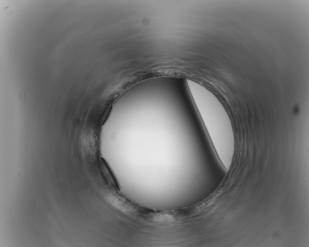 X0000092230572200709140944