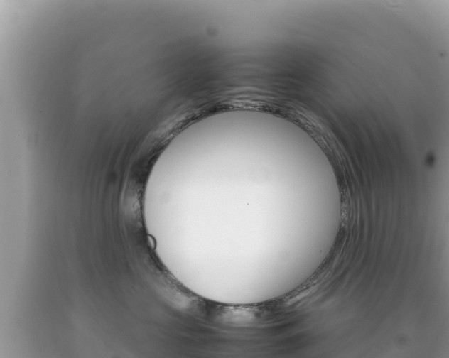 X0000092230573200709140944