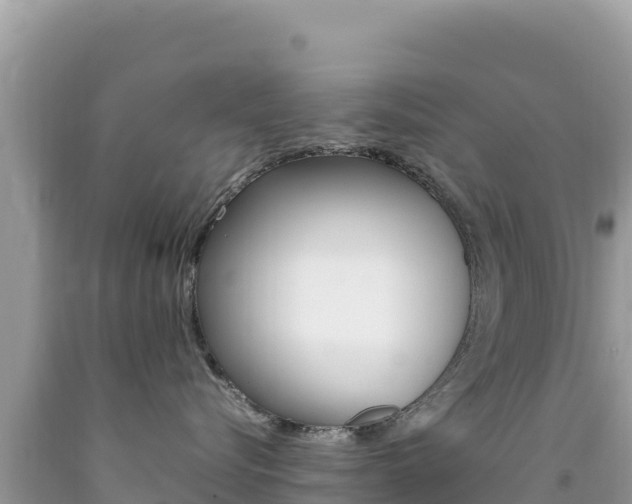 X0000092230576200709140944