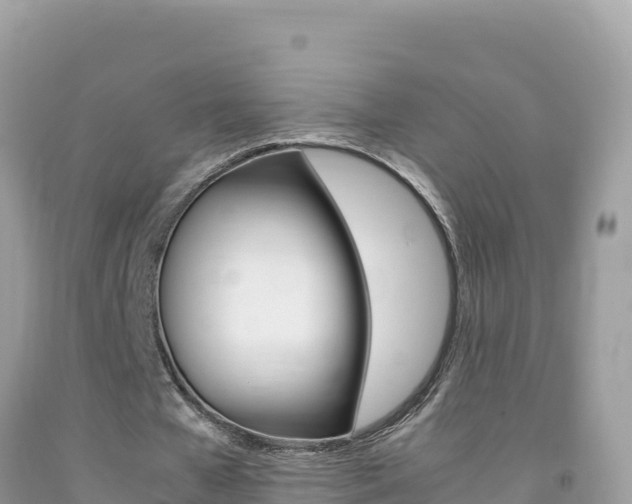 X0000092230577200709140943