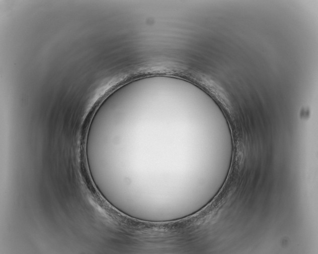 X0000092230578200709140943