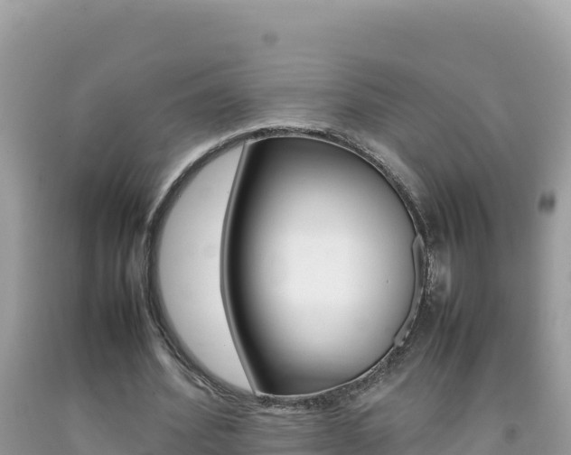 X0000092230580200709140943
