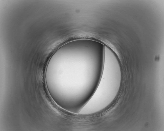 X0000092230581200709140943