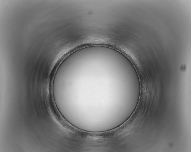 X0000092230582200709140943