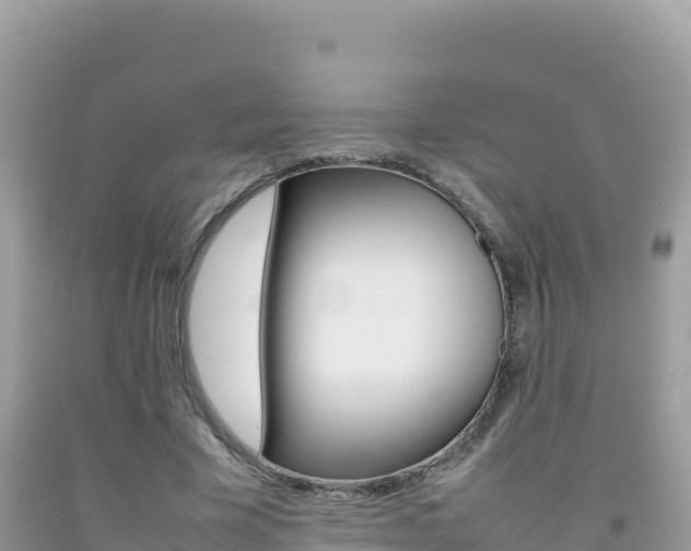 X0000092230585200709140943