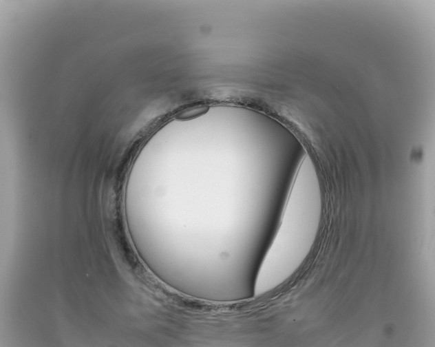 X0000092230587200709140943