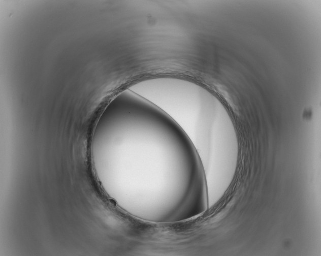 X0000092230589200709140943