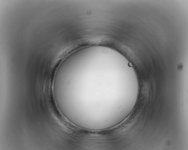 X0000092230590200709140943