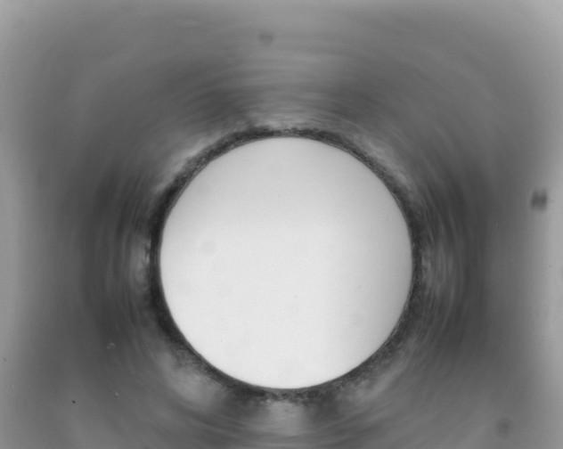 X0000092230592200709140943