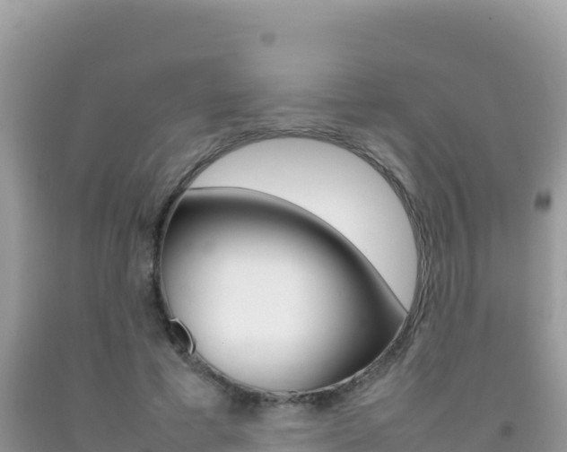 X0000092230593200709140943
