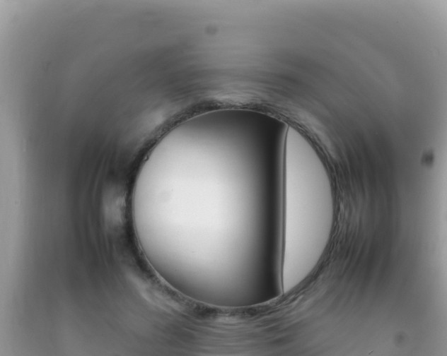 X0000092230596200709140943