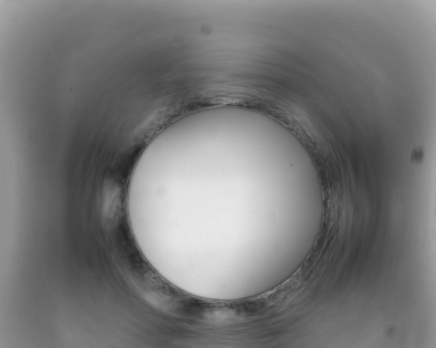 X0000092230598200709140943