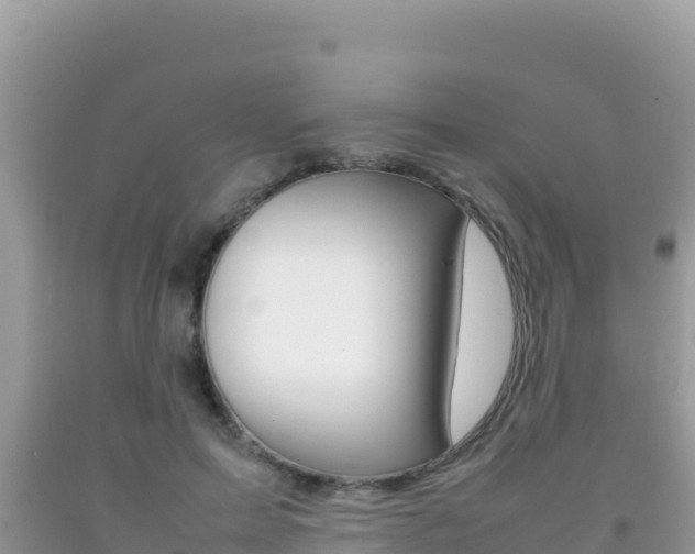 X0000092230599200709140943
