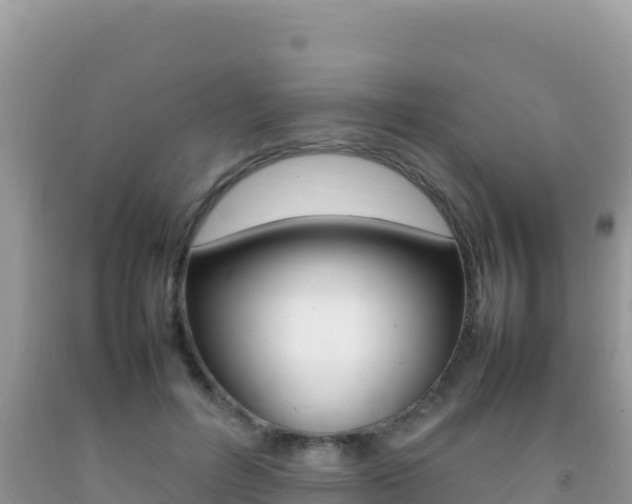 X0000092230600200709140943