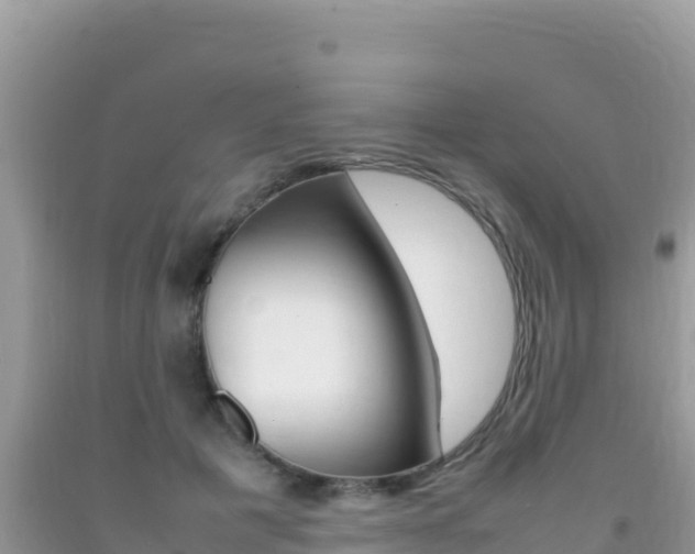 X0000092230601200709140943